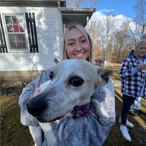 Meet your Posher, Alexa